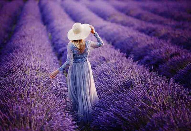 featured-image